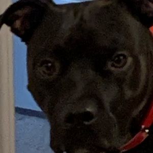 Meet your Posher, Jaden